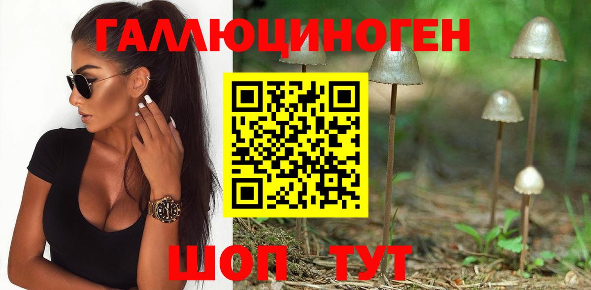 Псилоцибиновые грибы Magic Shrooms  Вход с VPN  Псилоцибиновые грибы MAGIC MUSHROOMS  Феодосия 