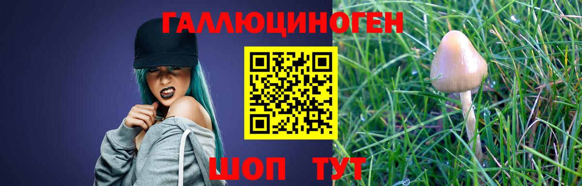Галлюциногенные грибы Magic Shrooms Феодосия